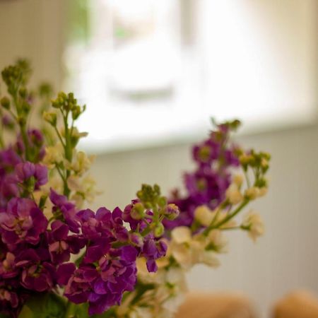 The Potting Shed, 5* Luxury Escape Cirencester Kültér fotó